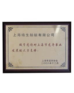 2008年上海市龙舟协会龙舟事业大力发展